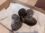 Dôležité oznamy a upozornenia Dôležité oznamy a upozornenia